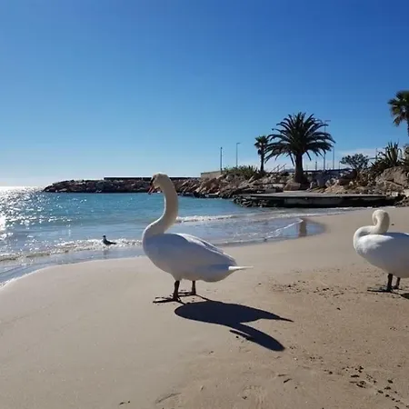 아파트 Beau Studio Sur La Croisette 5 칸느